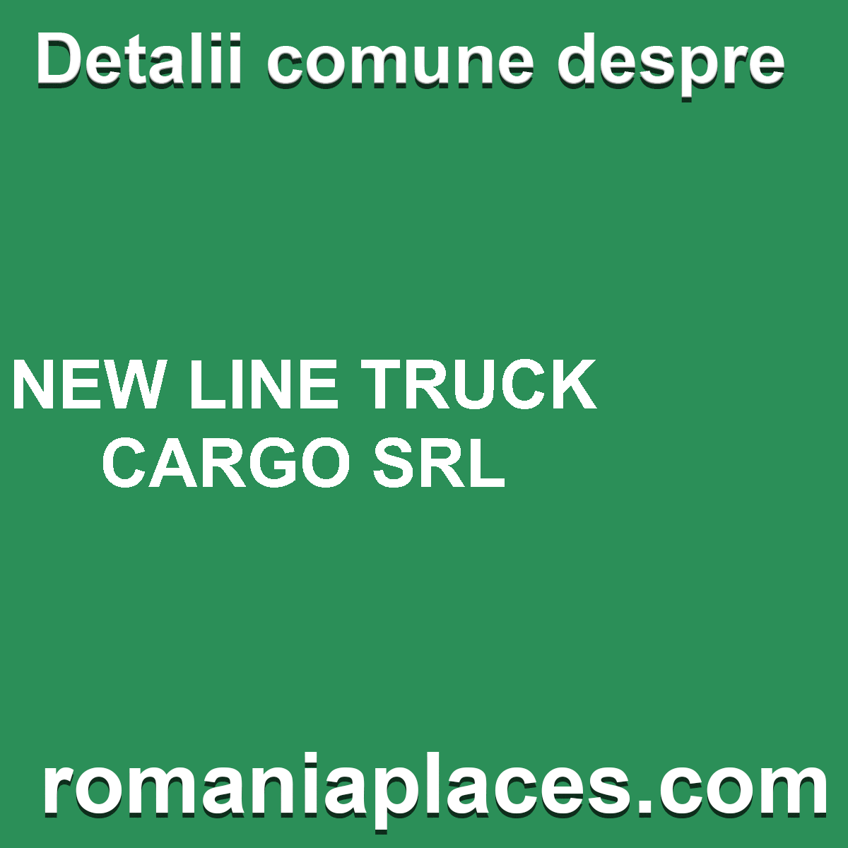 NEW LINE TRUCK CARGO SRL