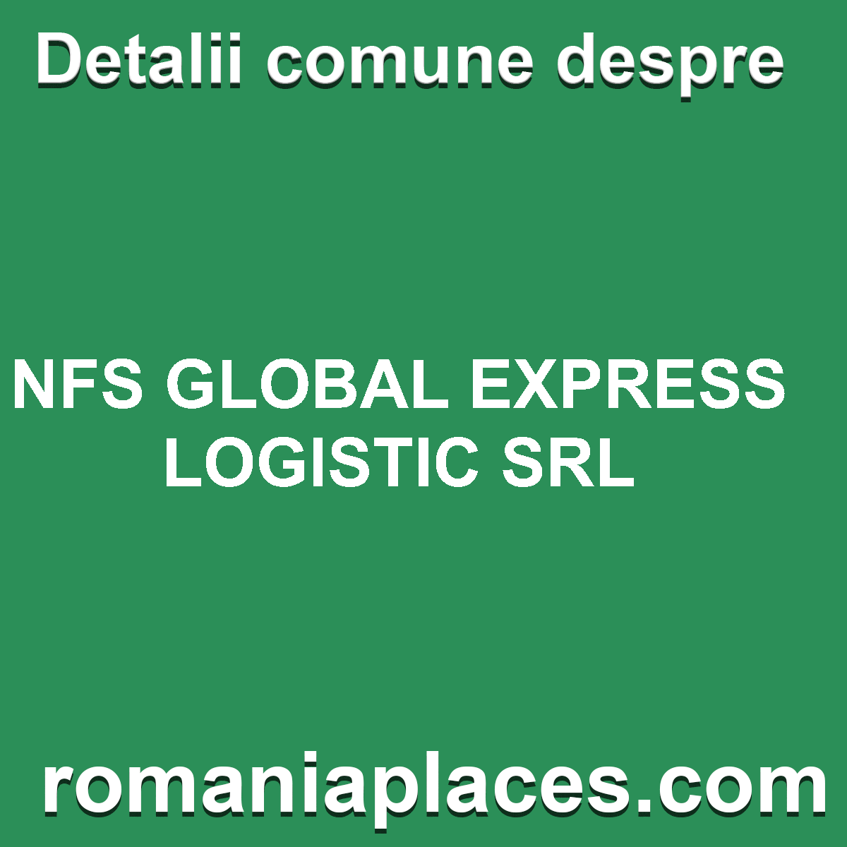NFS GLOBAL EXPRESS LOGISTIC SRL