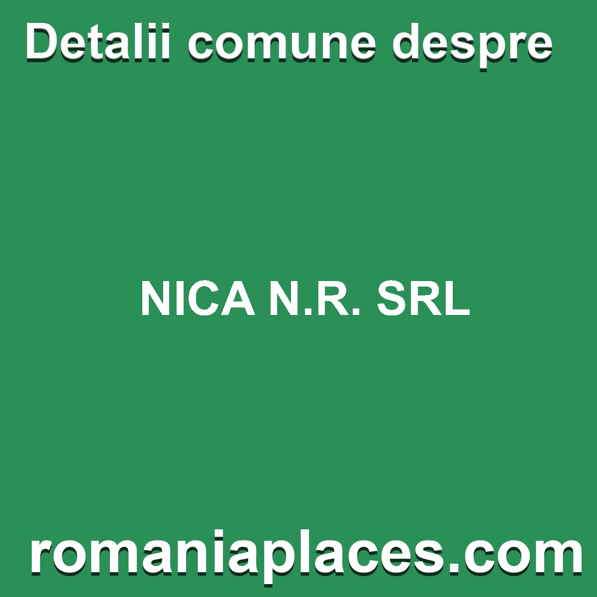 NICA N.R. SRL