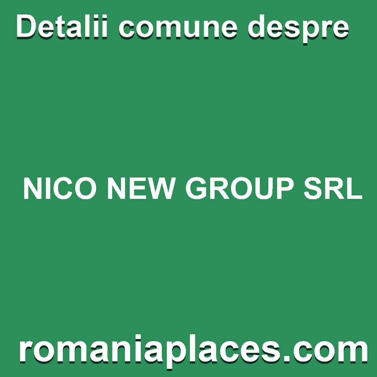NICO NEW GROUP SRL