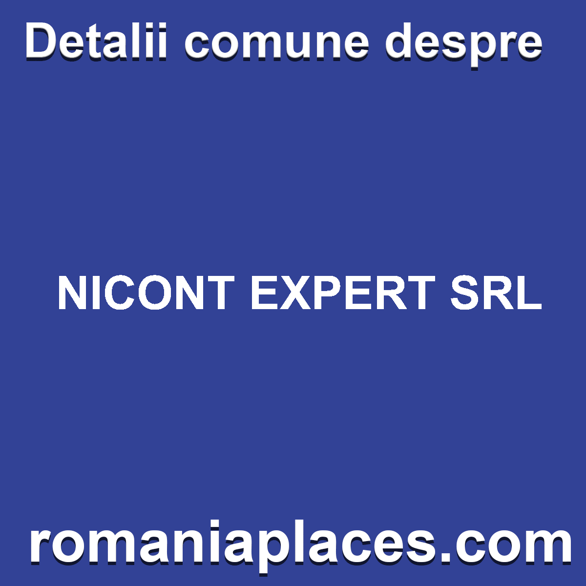 NICONT EXPERT SRL