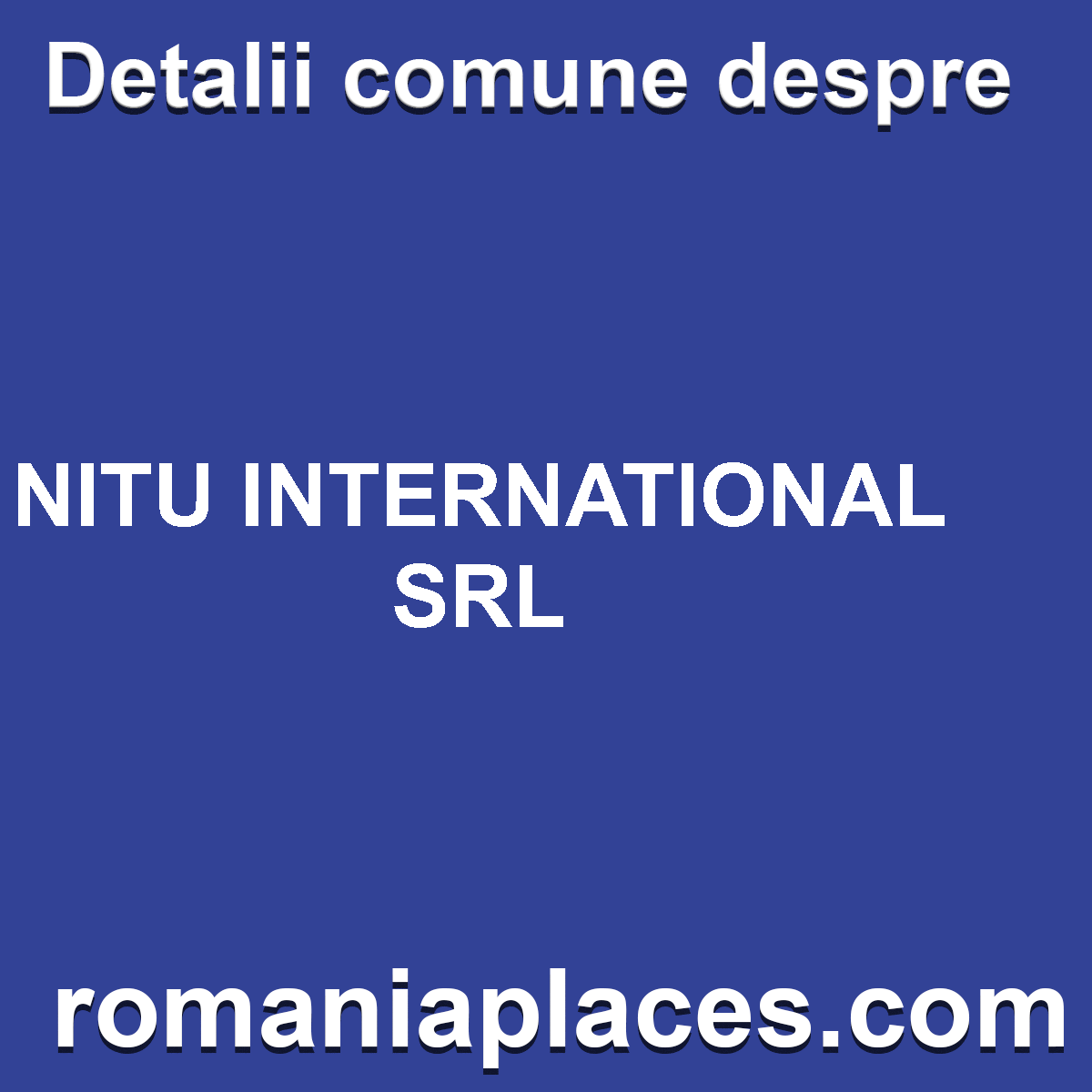 NITU INTERNATIONAL SRL