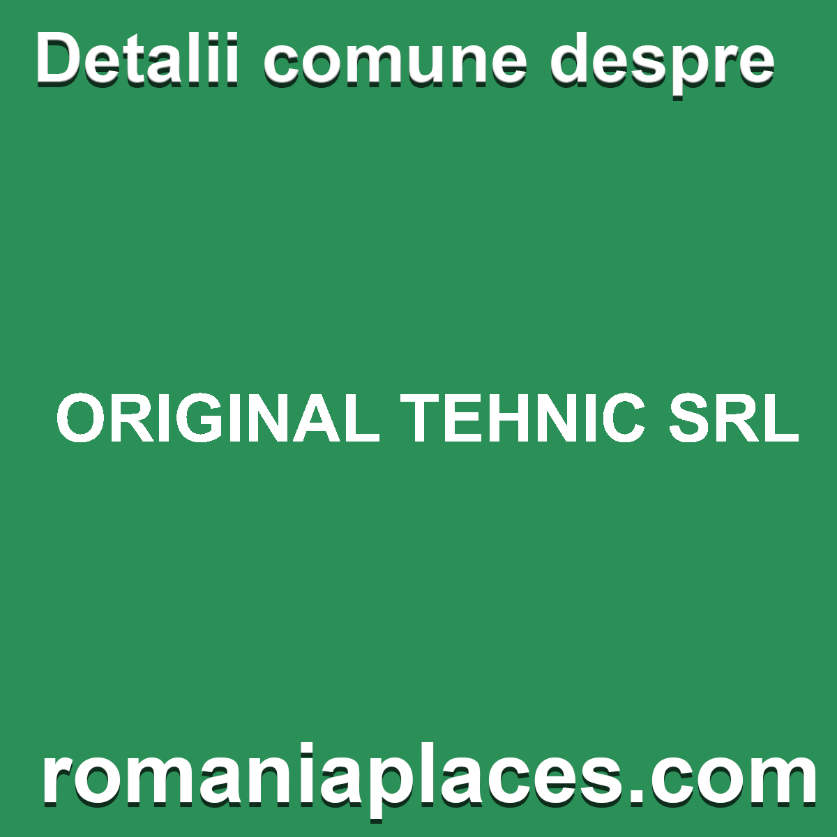 ORIGINAL TEHNIC SRL