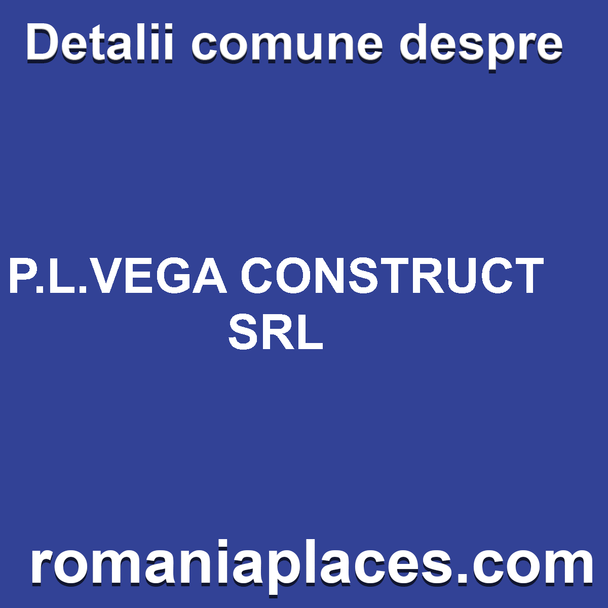 P.L.VEGA CONSTRUCT SRL