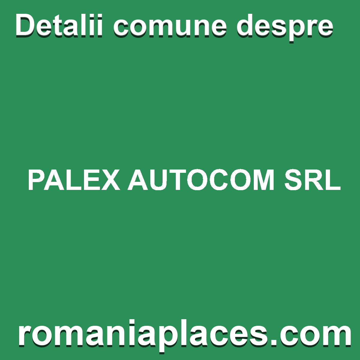 PALEX AUTOCOM SRL