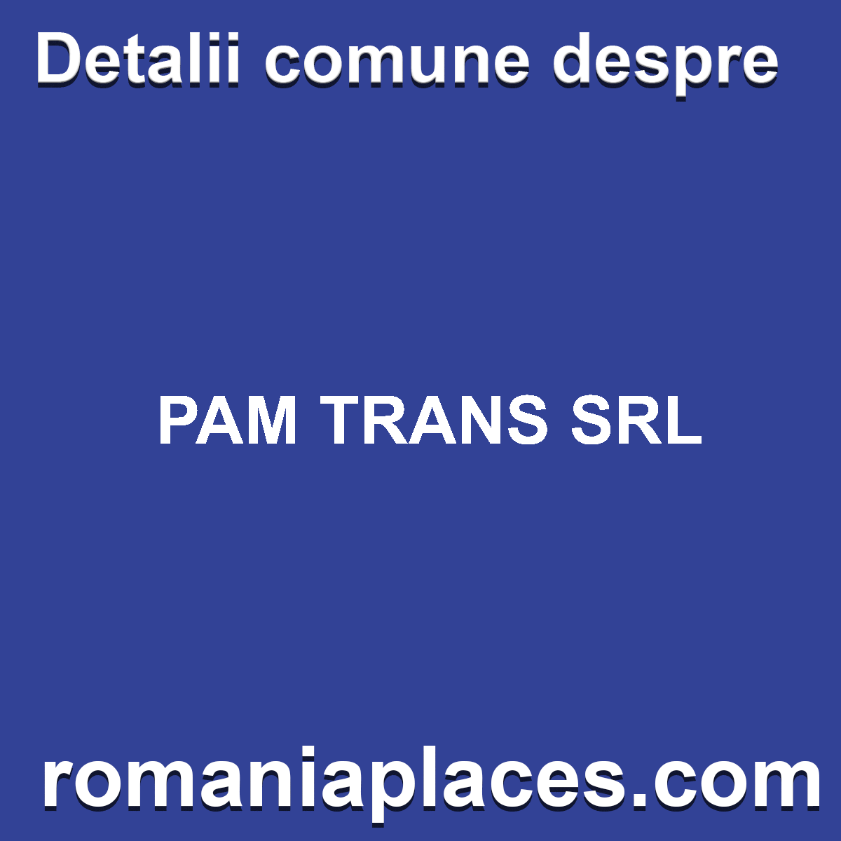 PAM TRANS SRL