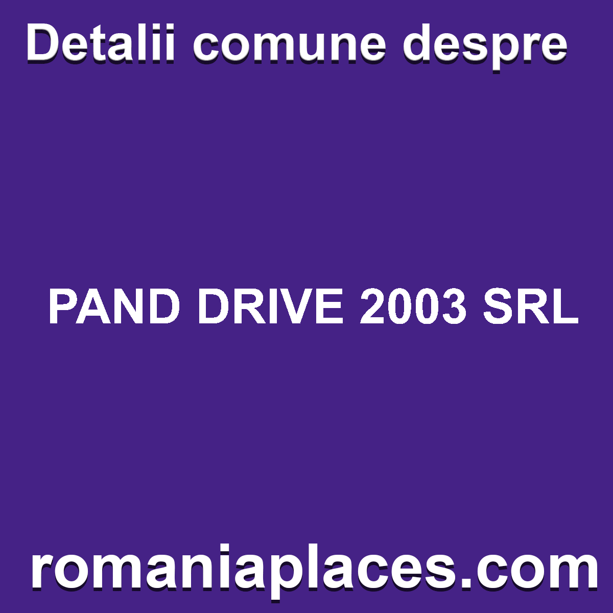 PAND DRIVE 2003 SRL