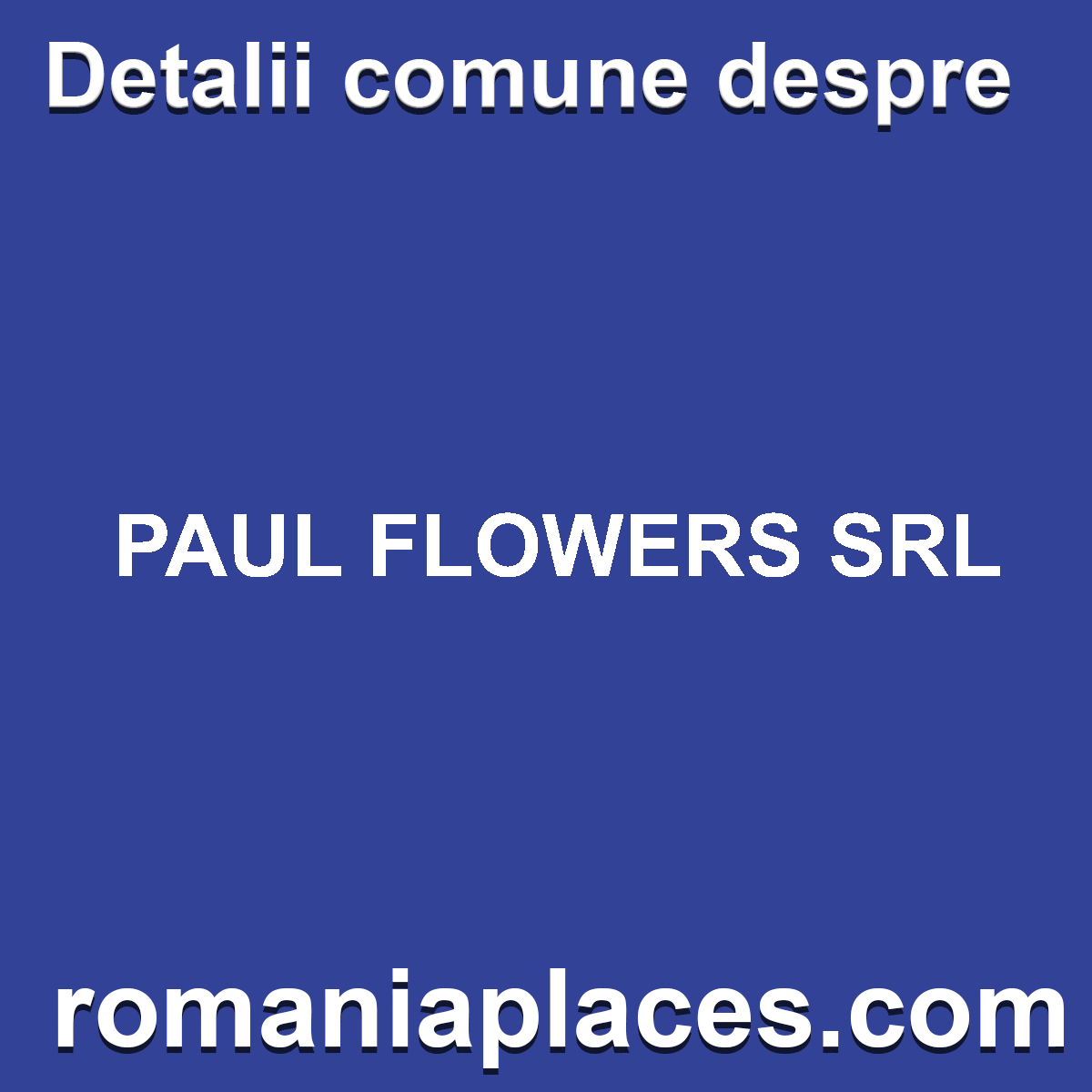 PAUL FLOWERS SRL