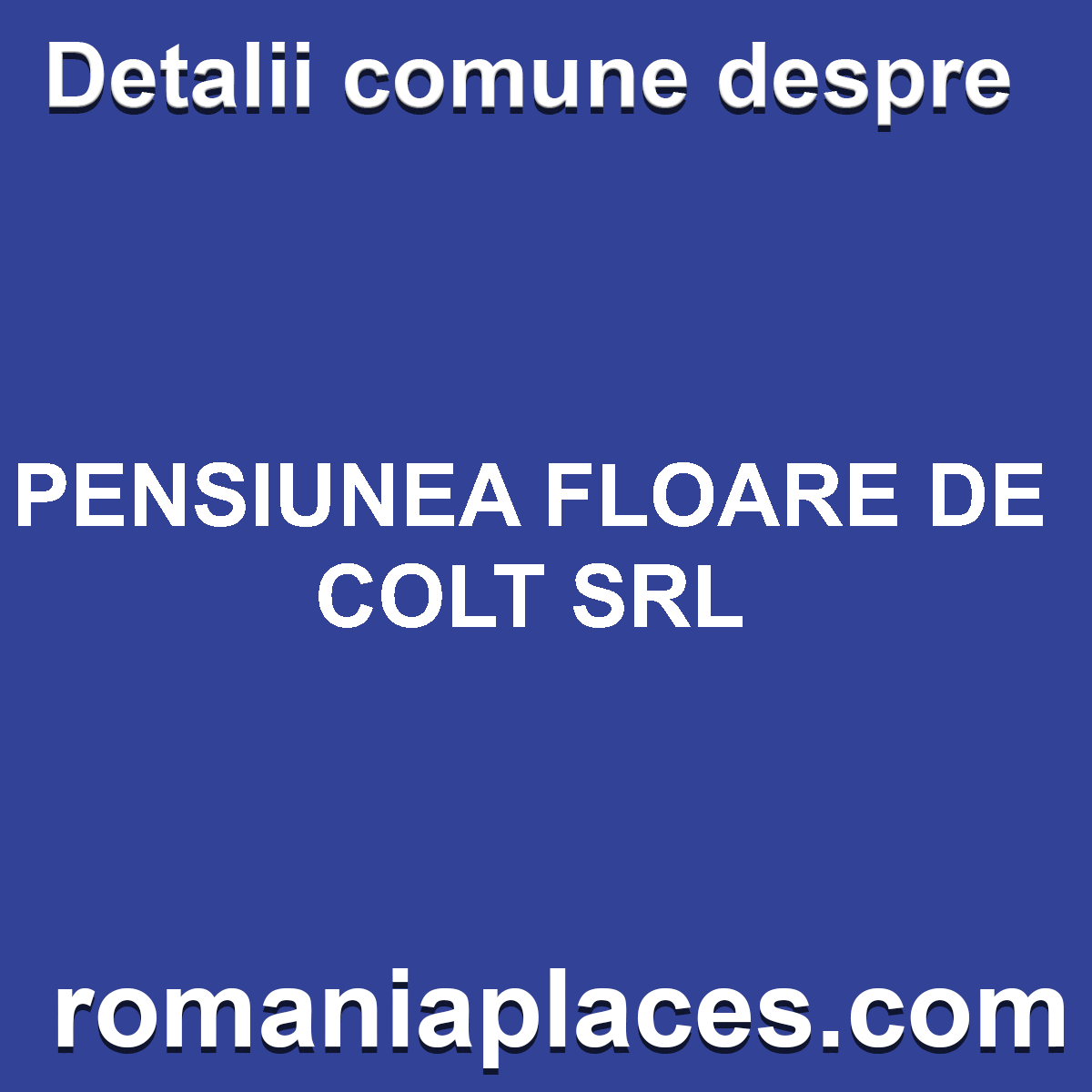 PENSIUNEA FLOARE DE COLT SRL