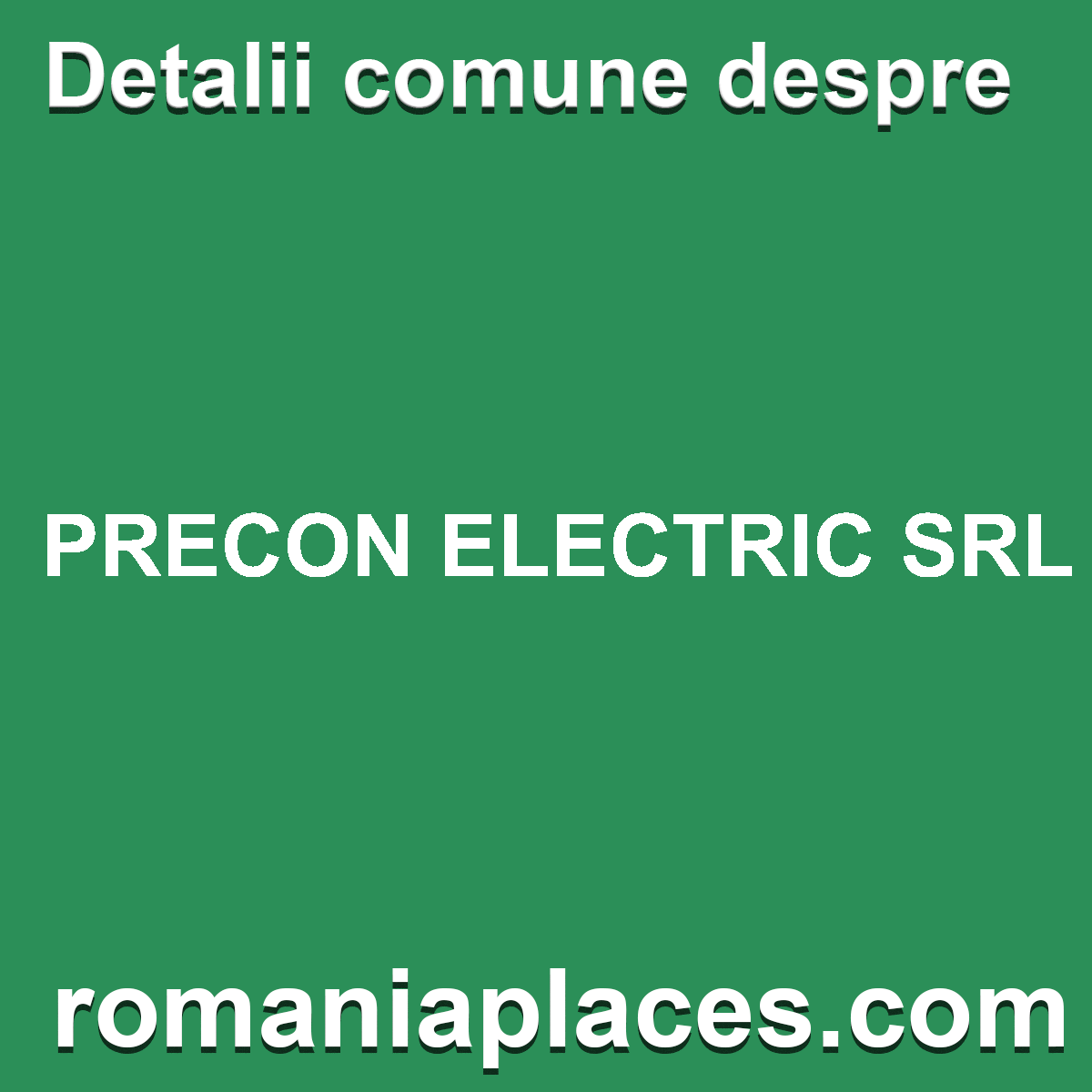 PRECON ELECTRIC SRL
