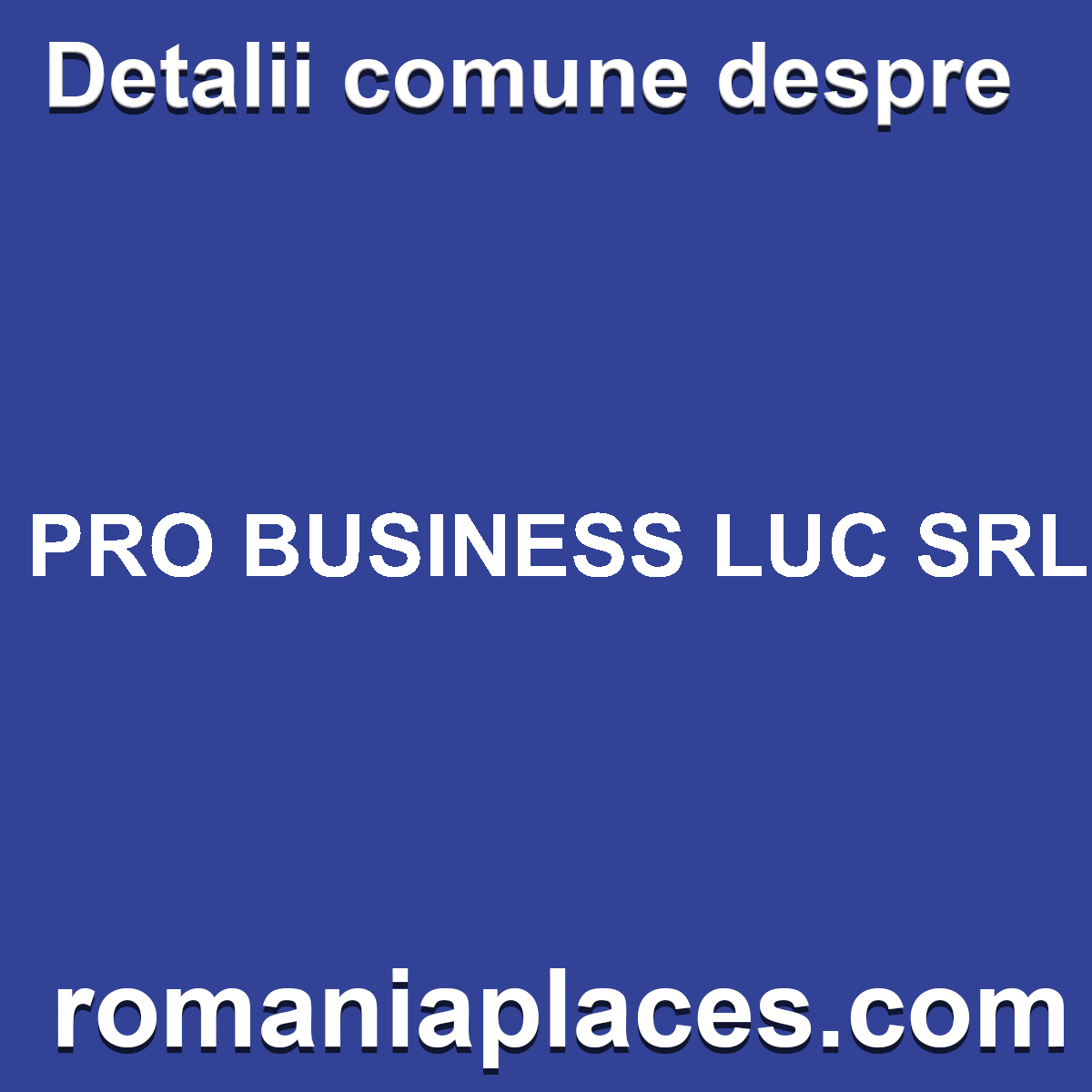 PRO BUSINESS LUC SRL