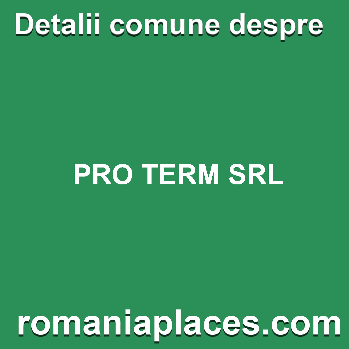 PRO TERM SRL