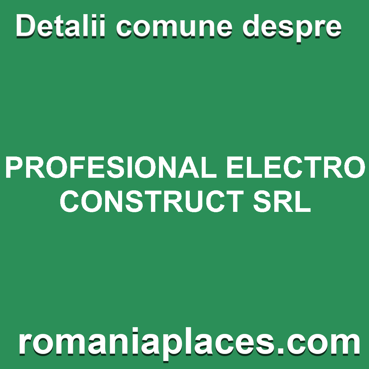 PROFESIONAL ELECTRO CONSTRUCT SRL