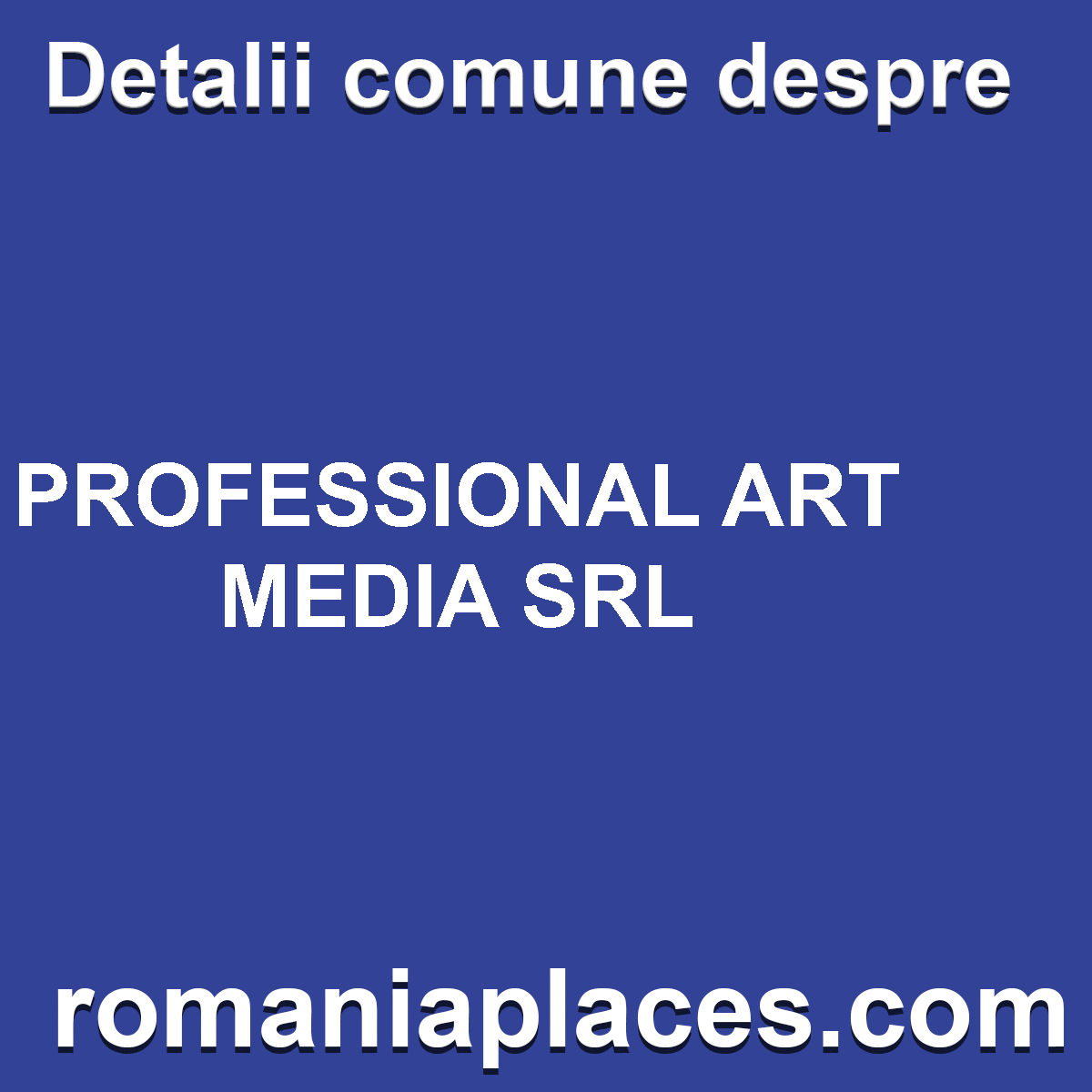 PROFESSIONAL ART MEDIA SRL