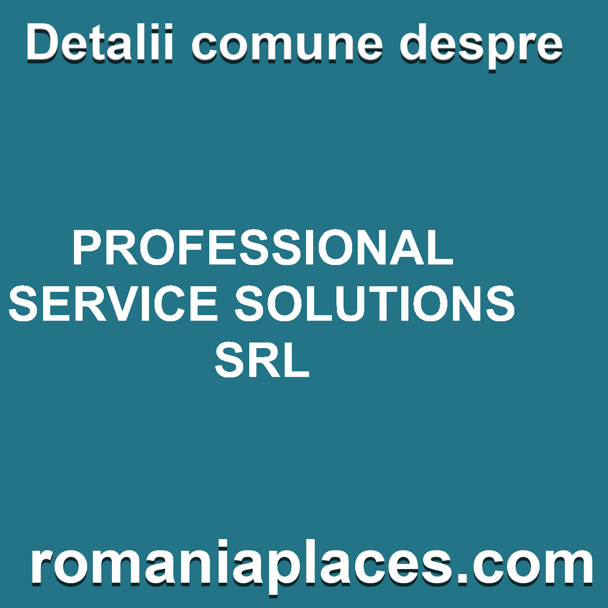 PROFESSIONAL SERVICE SOLUTIONS SRL