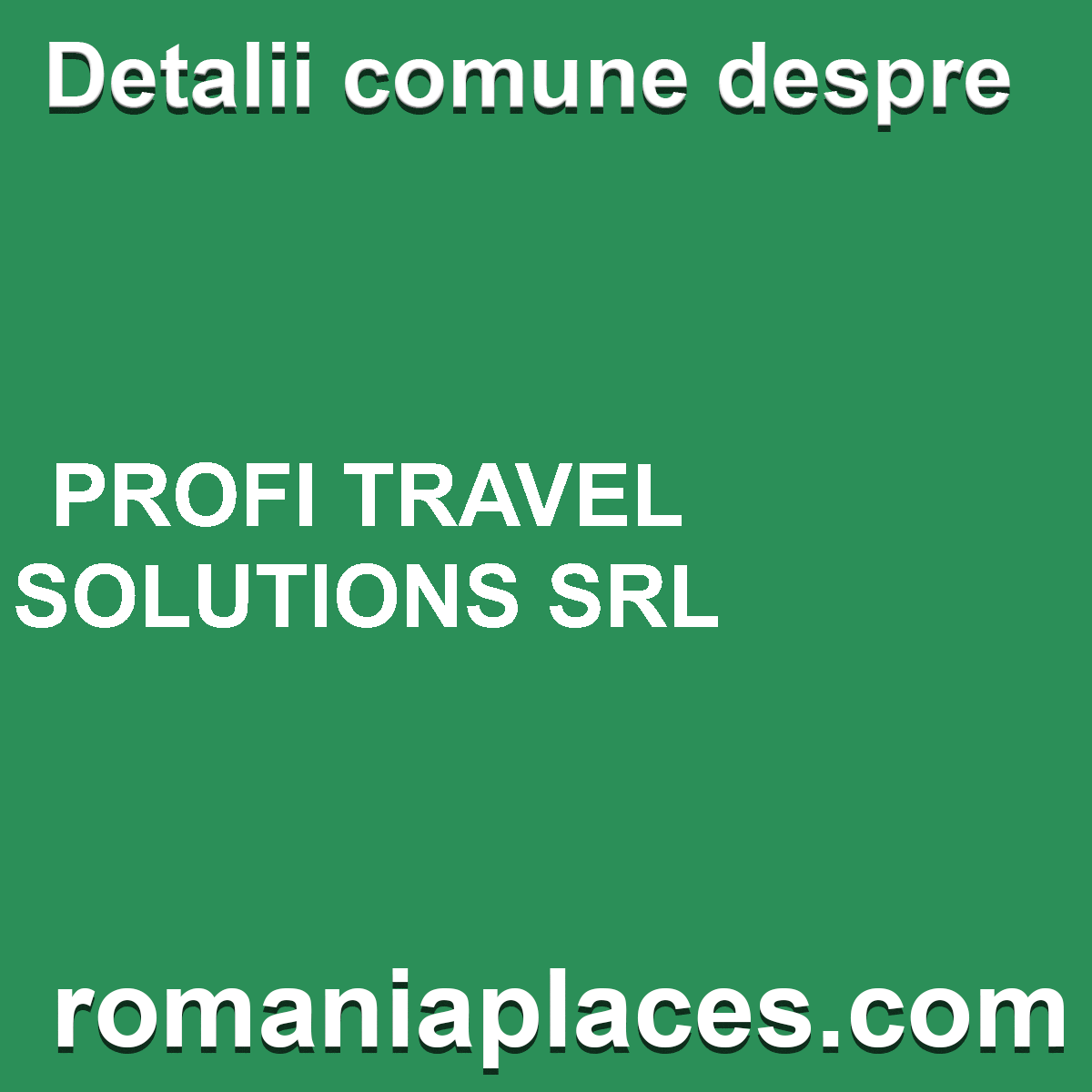 PROFI TRAVEL SOLUTIONS SRL