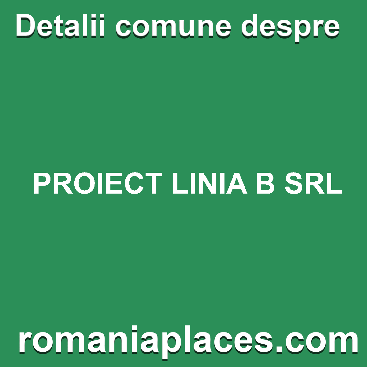 PROIECT LINIA B SRL