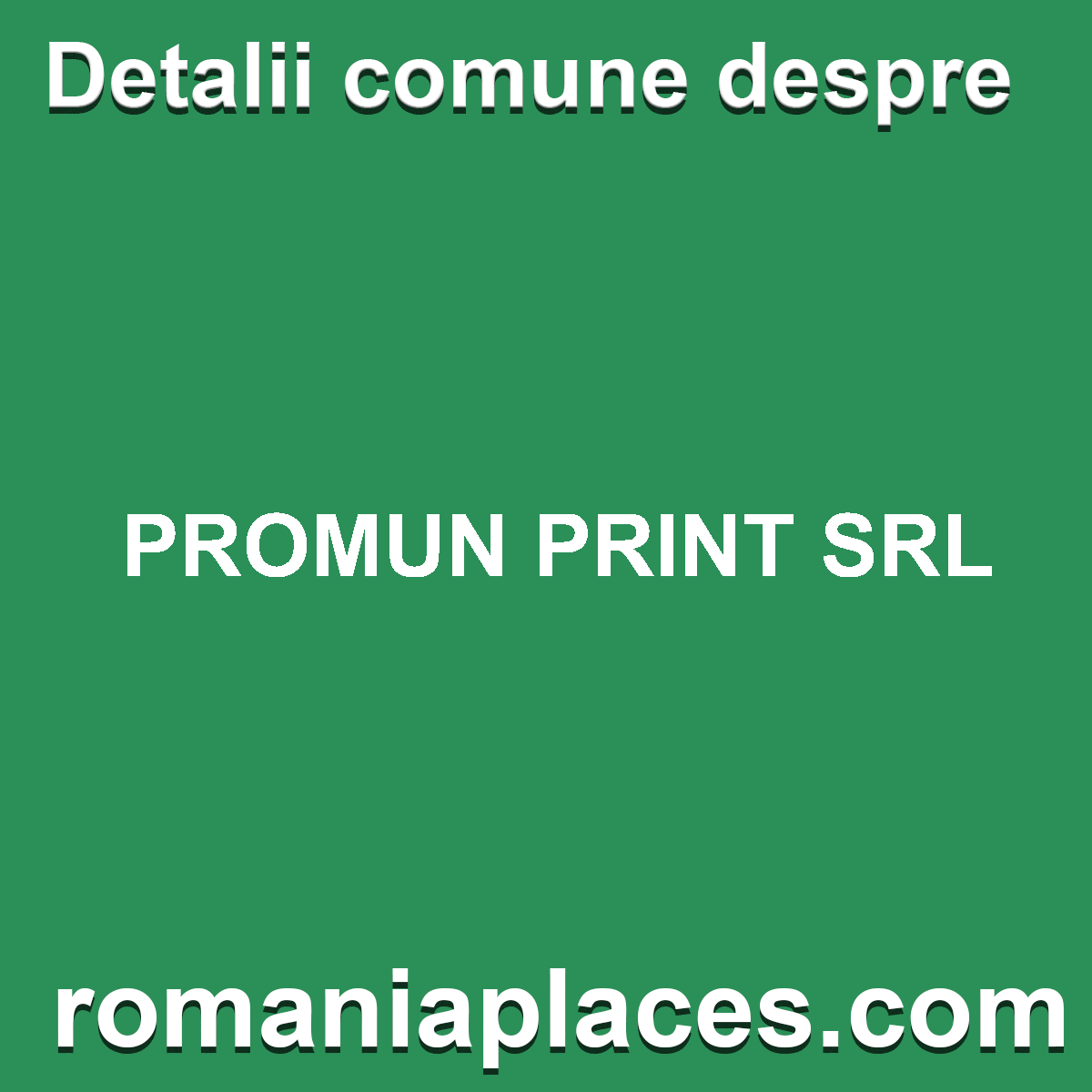 PROMUN PRINT SRL