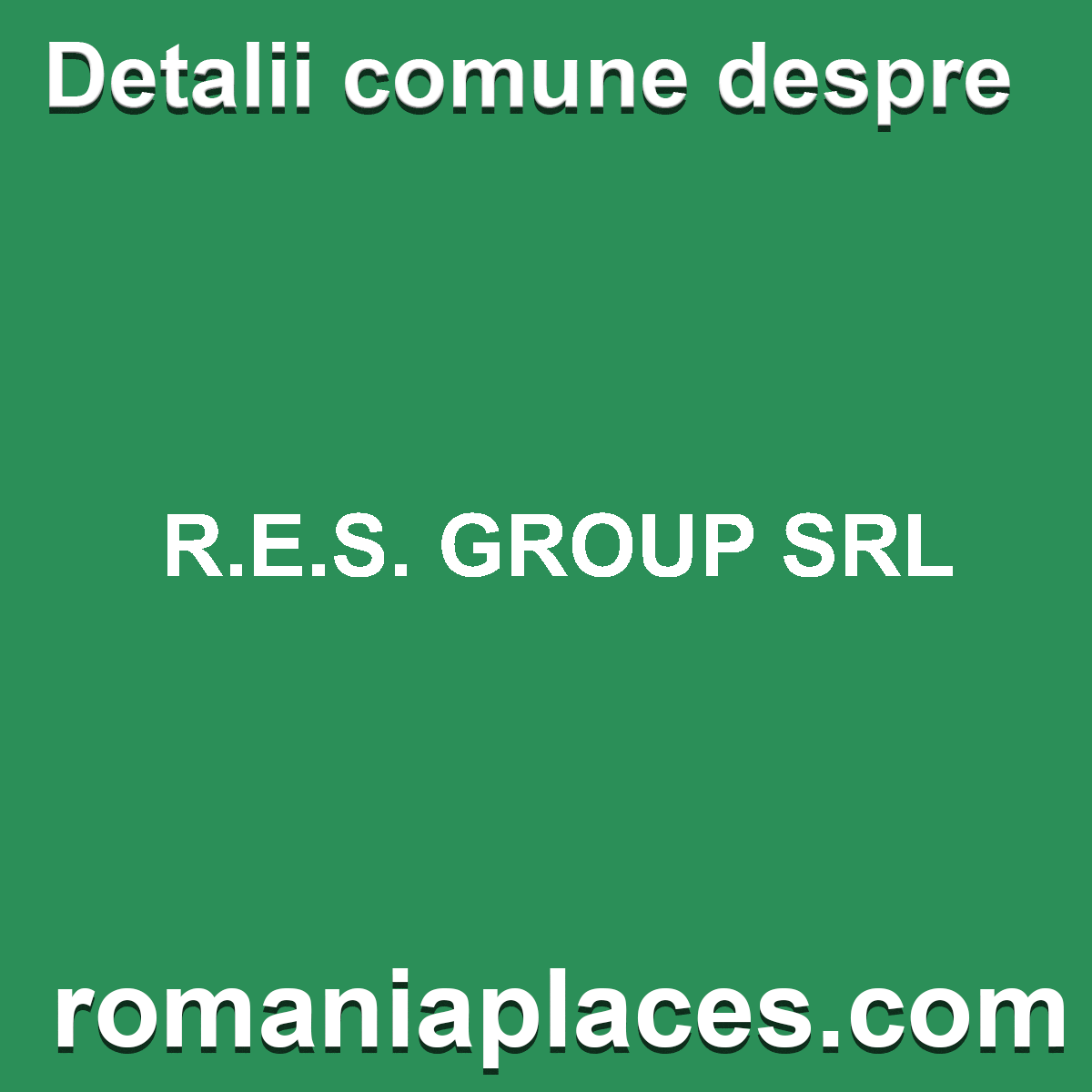 R.E.S. GROUP SRL