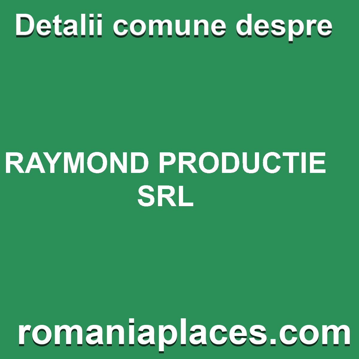 RAYMOND PRODUCTIE SRL
