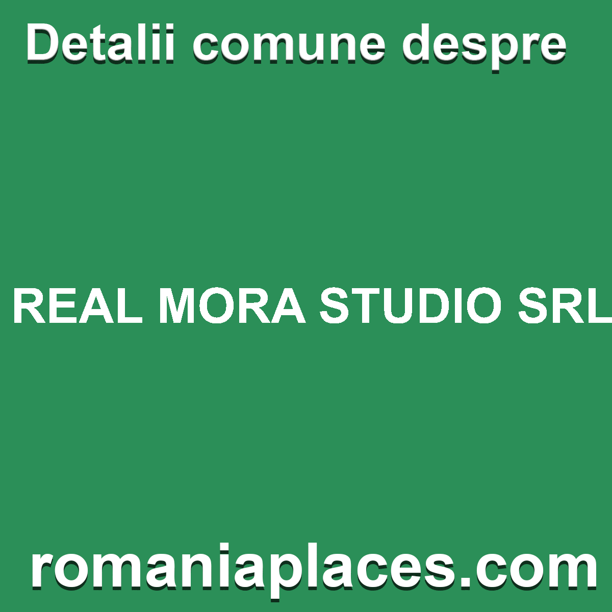 REAL MORA STUDIO SRL