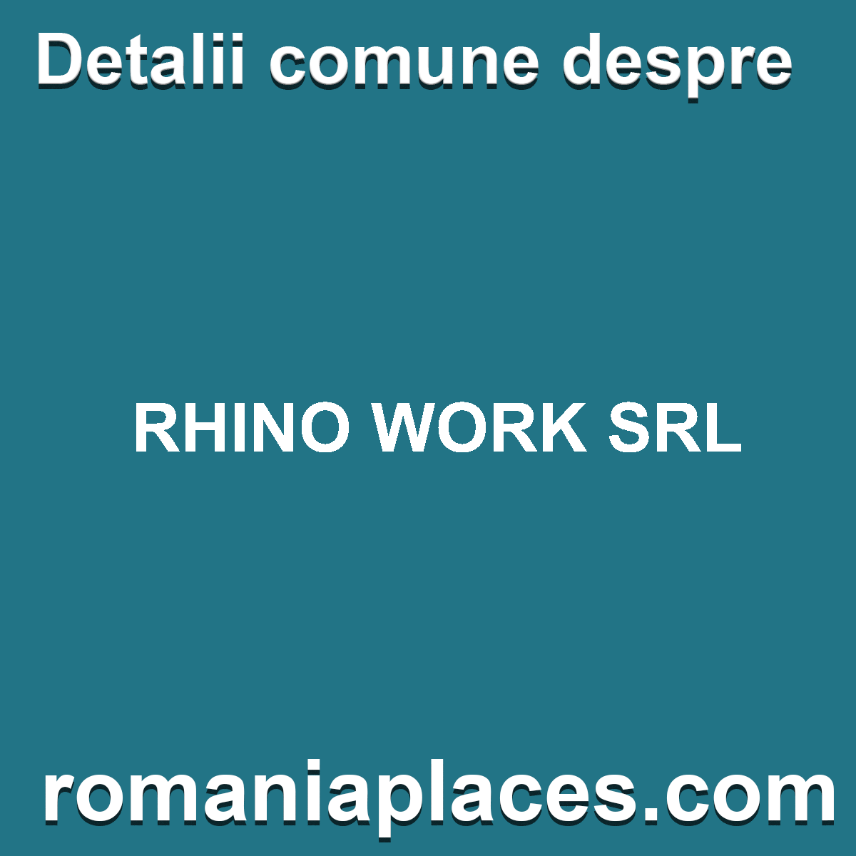 RHINO WORK SRL