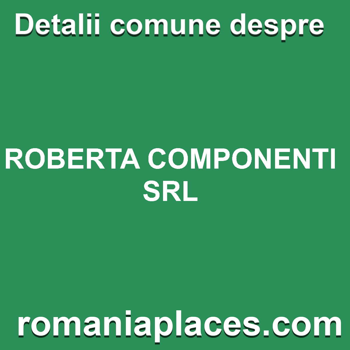 ROBERTA COMPONENTI SRL