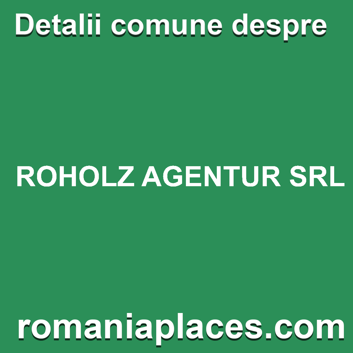 ROHOLZ AGENTUR SRL