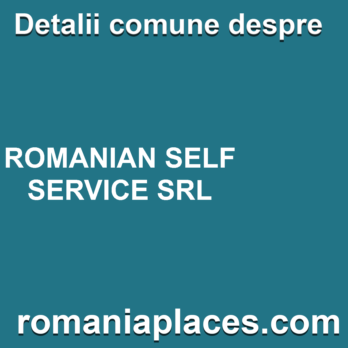 ROMANIAN SELF SERVICE SRL