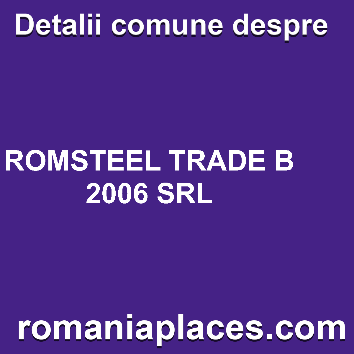 ROMSTEEL TRADE B 2006 SRL