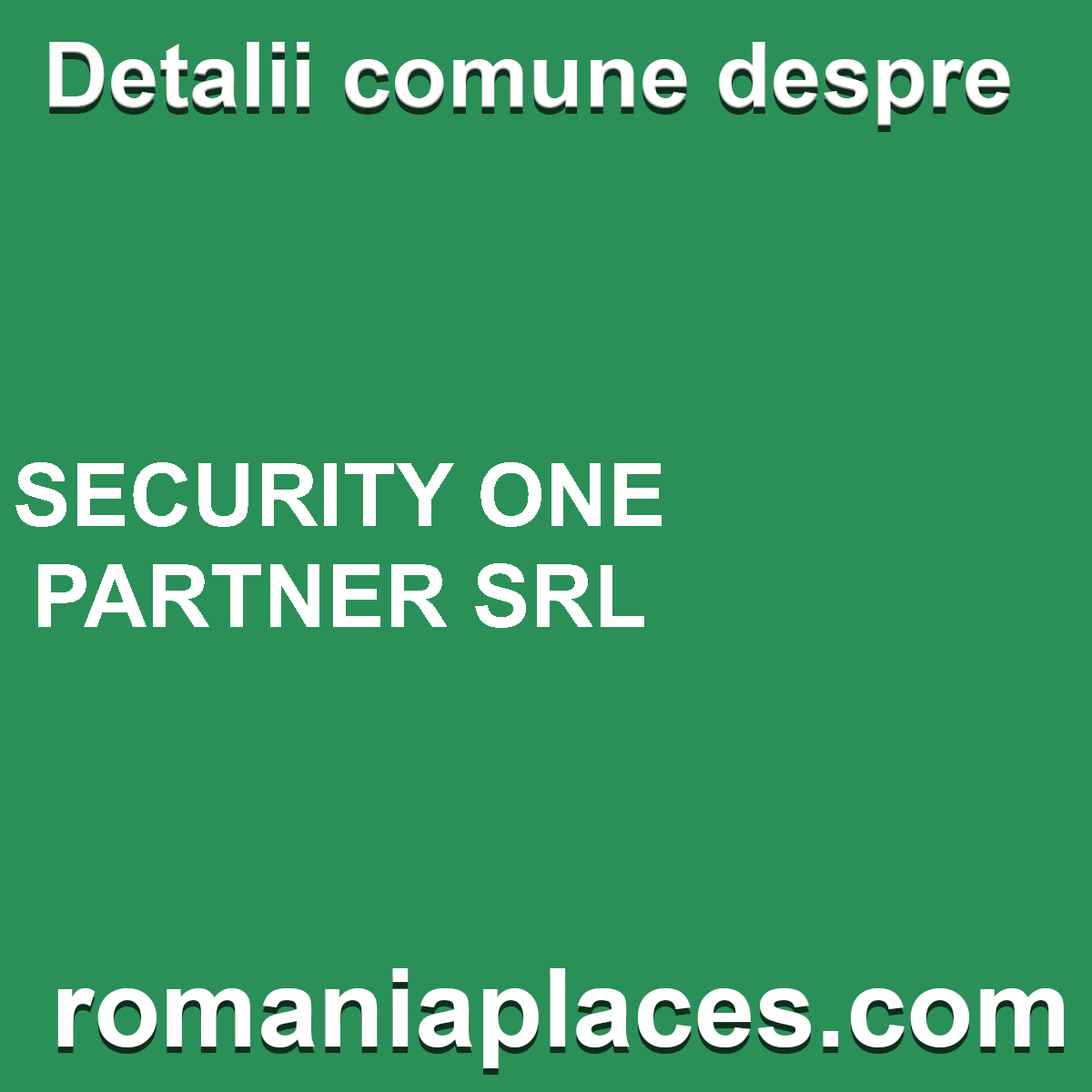 SECURITY ONE PARTNER SRL