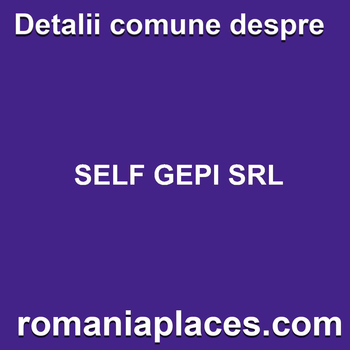 SELF GEPI SRL