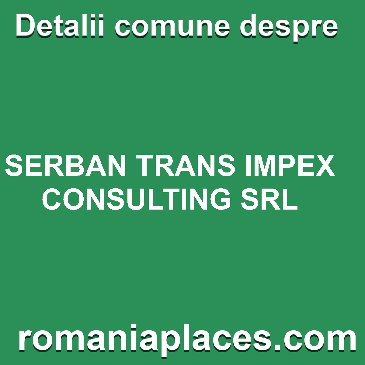 SERBAN TRANS IMPEX CONSULTING SRL