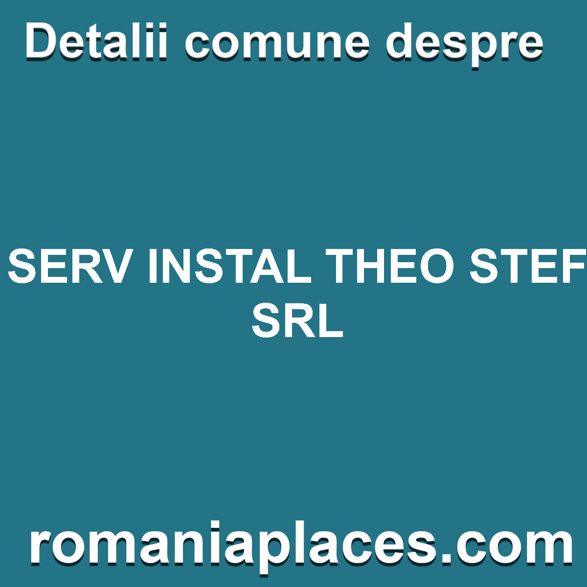 SERV INSTAL THEO STEF SRL