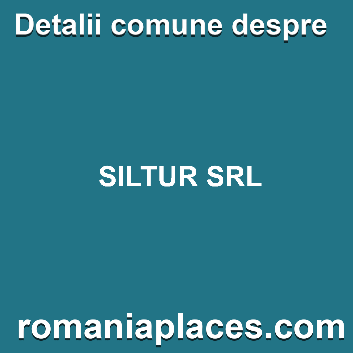SILTUR SRL
