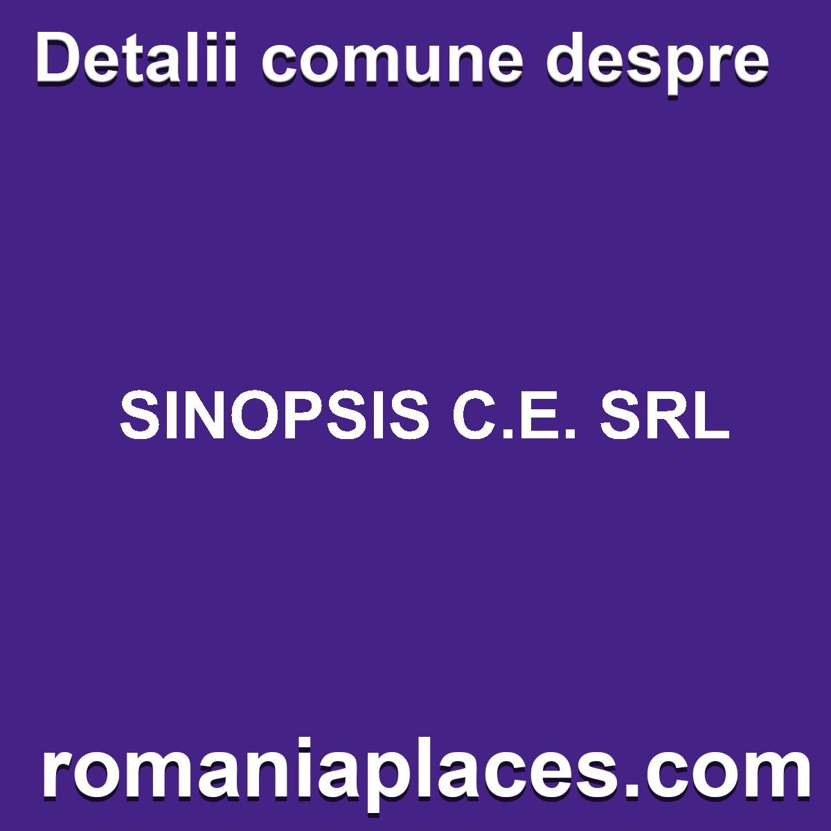 SINOPSIS C.E. SRL