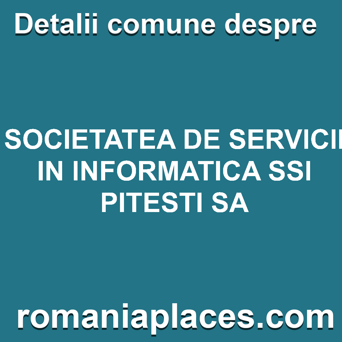 SOCIETATEA DE SERVICII IN INFORMATICA SSI PITESTI SA