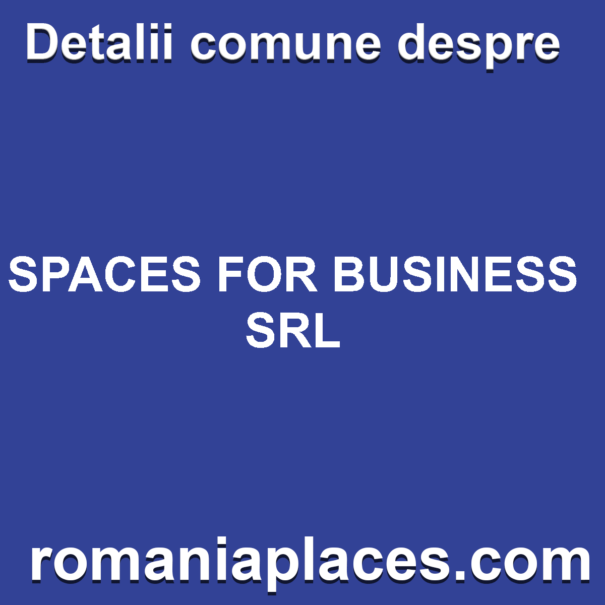 SPACES FOR BUSINESS SRL