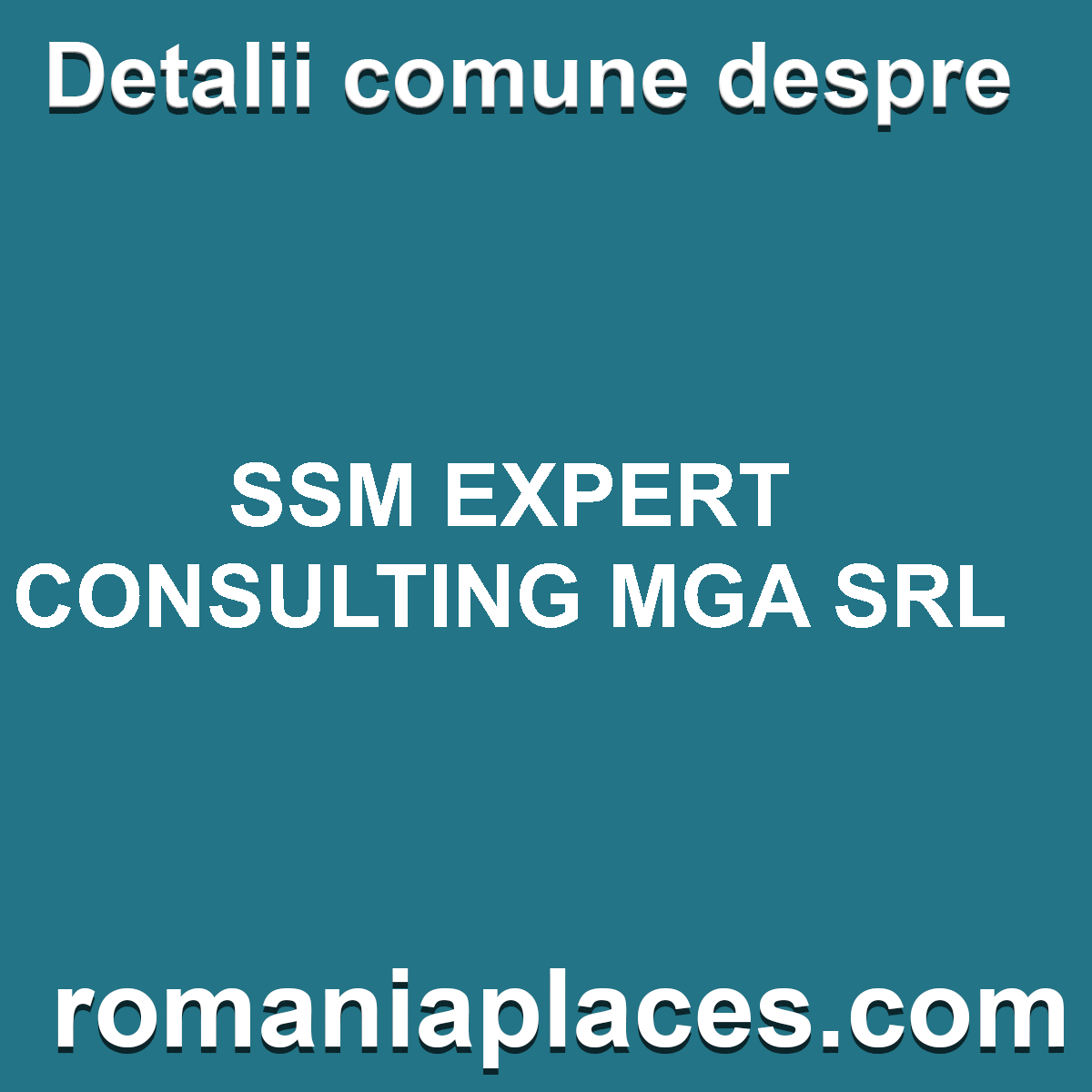 SSM EXPERT CONSULTING MGA SRL