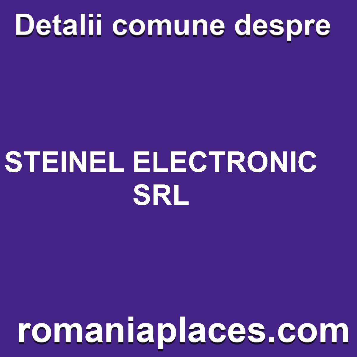 STEINEL ELECTRONIC SRL