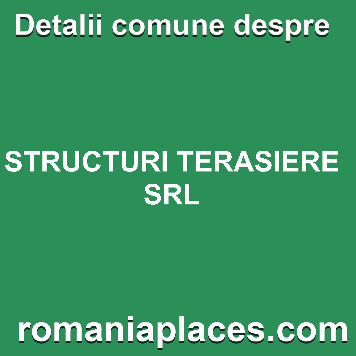 STRUCTURI TERASIERE SRL
