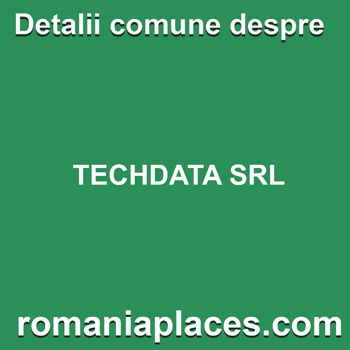 TECHDATA SRL