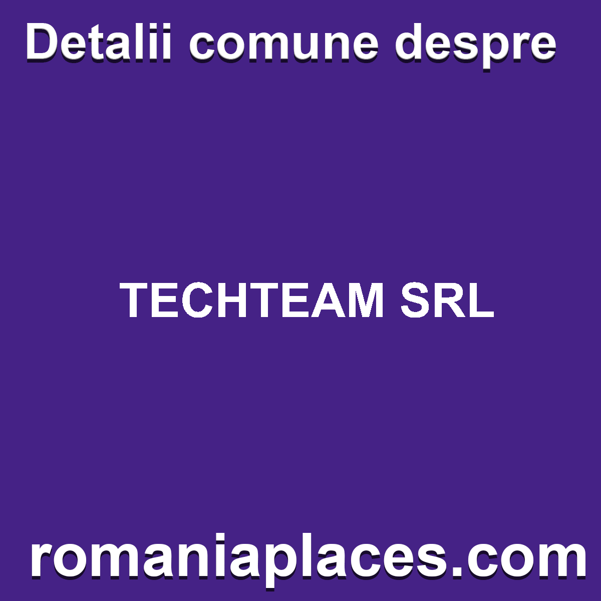 TECHTEAM SRL