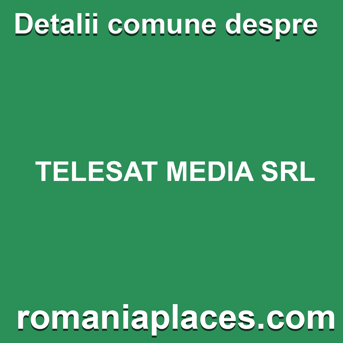 TELESAT MEDIA SRL