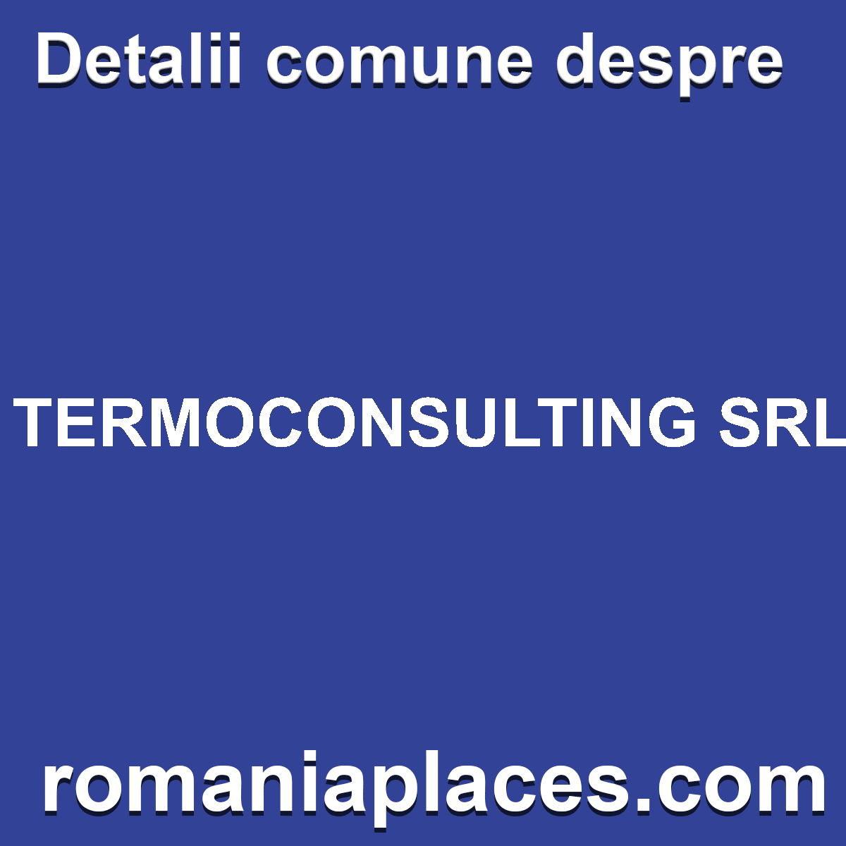 TERMOCONSULTING SRL