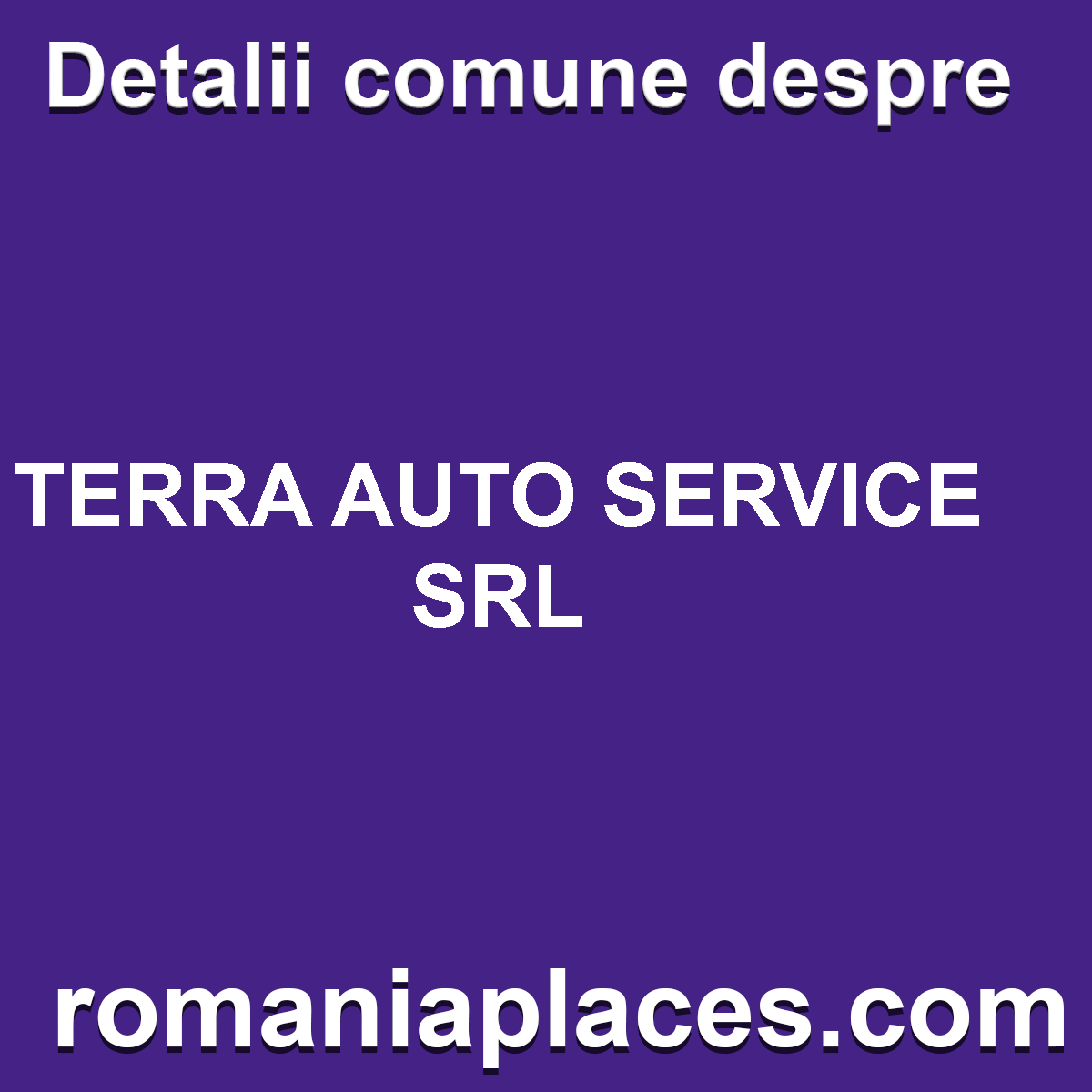 TERRA AUTO SERVICE SRL