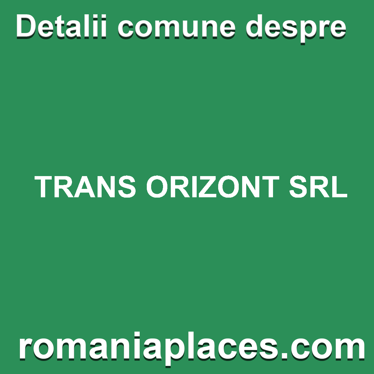 TRANS ORIZONT SRL