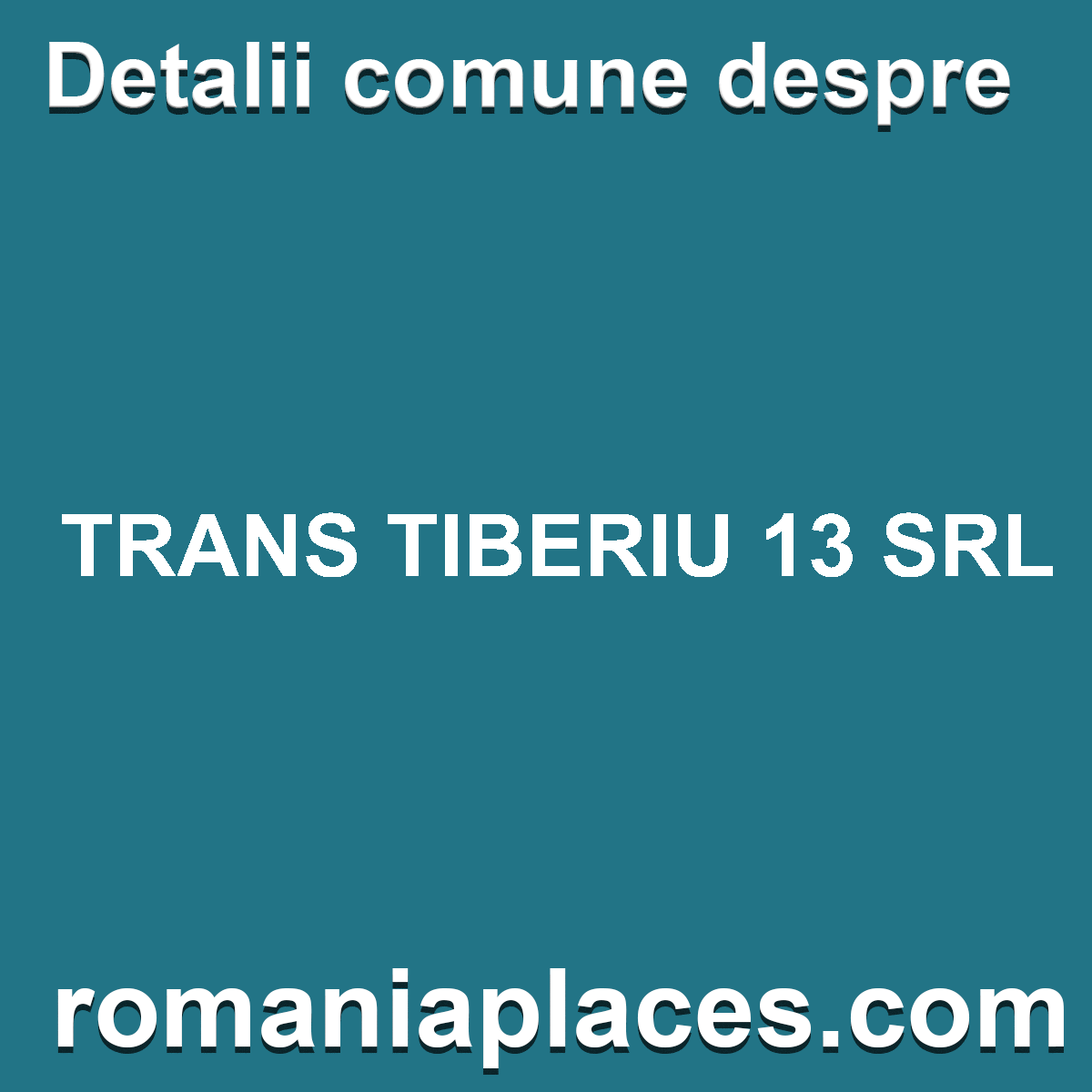 TRANS TIBERIU 13 SRL