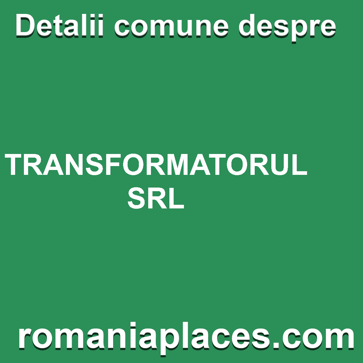 TRANSFORMATORUL SRL