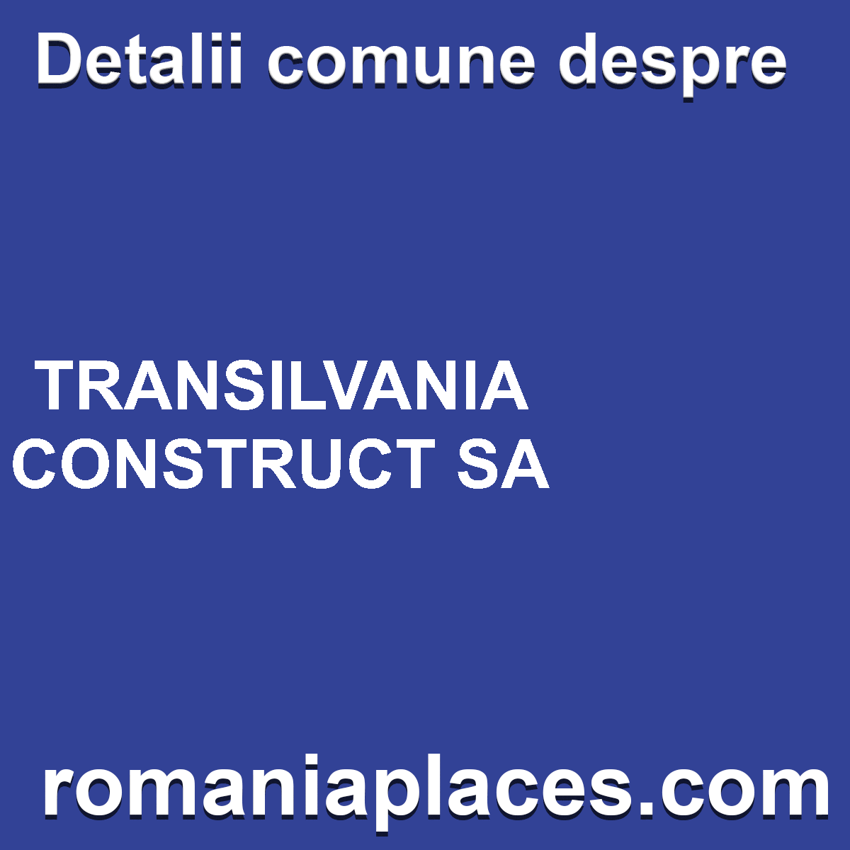 TRANSILVANIA CONSTRUCT SA